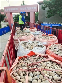 九游娱乐：绵阳水洗海砂猛砂滤料供应2024实时动态(图4)