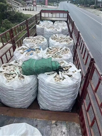 九游娱乐网站：今日行情：白银儿童游乐厂海沙有限公司2024实时动态(图5)