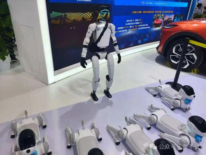 九游娱乐：一文看尽35万人围观的智博会(图11)