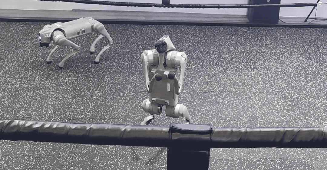 九游娱乐：一文看尽35万人围观的智博会(图26)